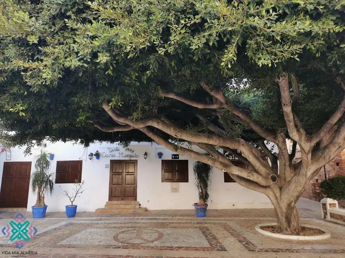 Vida Mia Almeria Vera