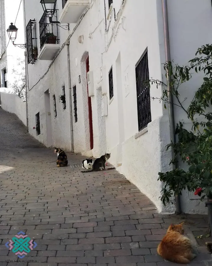 Apartment Vida Mia Almeria Vera Spain